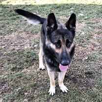 Thumbnail photo of Matthias #4