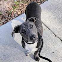 Thumbnail photo of Brian #2