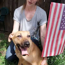 Thumbnail photo of Clover #4