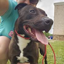 Thumbnail photo of Benson #1