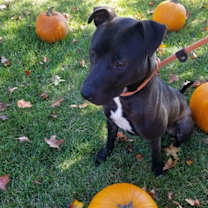 Thumbnail photo of Benson #2