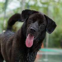 Thumbnail photo of Melbo #1