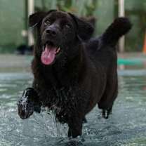 Thumbnail photo of Melbo #3