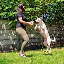 Thumbnail photo of Kongo #4