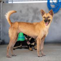 Thumbnail photo of Manima #3