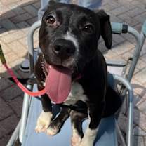 Thumbnail photo of Fiona #3