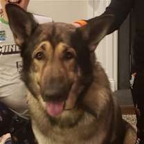 Thumbnail photo of Buck #1