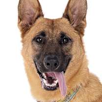 Thumbnail photo of Nicki #2