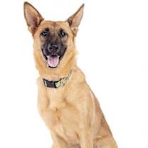 Thumbnail photo of Nicki #2