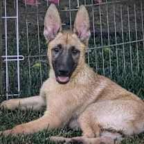 Thumbnail photo of Nicki #3