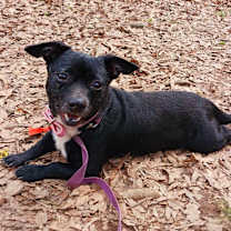 Thumbnail photo of Silly #3