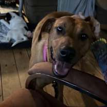 Thumbnail photo of Penny #2