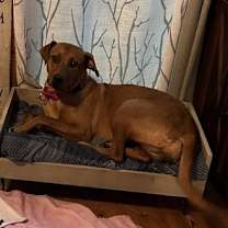 Thumbnail photo of Penny #3