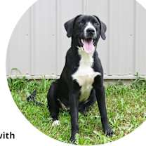 Thumbnail photo of Harvey #2