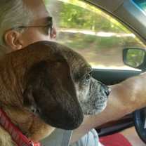 Thumbnail photo of Hazel #3