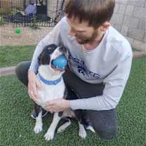 Thumbnail photo of Watson #2