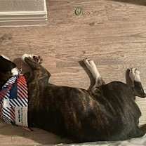 Thumbnail photo of Watson #4