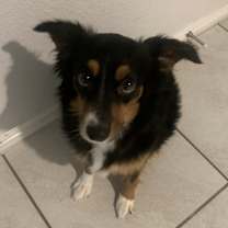 Thumbnail photo of Aduni Luna #1