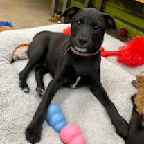 Thumbnail photo of Ana #1