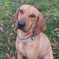 Thumbnail photo of Jack #1