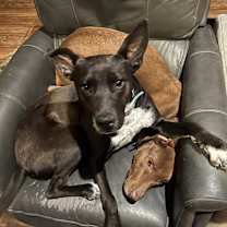 Thumbnail photo of Jewel #1