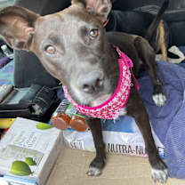 Thumbnail photo of Jewel #2