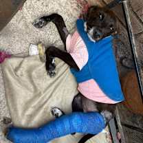 Thumbnail photo of Jewel #3