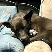 Thumbnail photo of Jewel #4