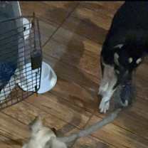 Thumbnail photo of Katya #2