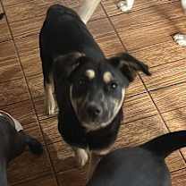 Thumbnail photo of Katya #3