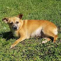 Thumbnail photo of Lily #2