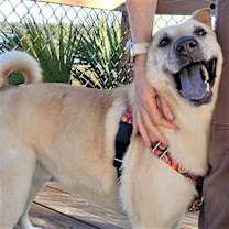 Thumbnail photo of Coco #1