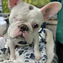 Thumbnail photo of Benoit #3