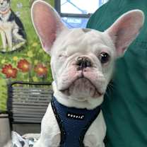 Thumbnail photo of Benoit #4