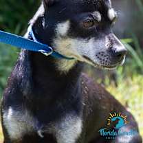 Thumbnail photo of Bear #3