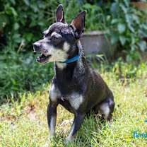 Thumbnail photo of Bear #4