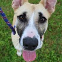 Thumbnail photo of Rosemary #1