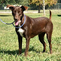 Thumbnail photo of Julia #1