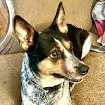 Thumbnail photo of Betty #1