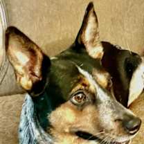 Thumbnail photo of Betty #2