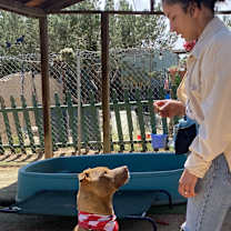 Thumbnail photo of Lightening Mcqueen #4