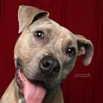 Thumbnail photo of Bruce #2