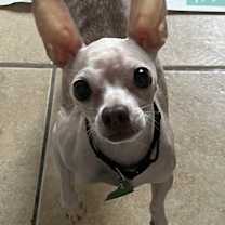 Thumbnail photo of Bubba #2