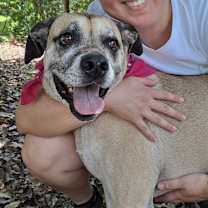Thumbnail photo of Penny #3