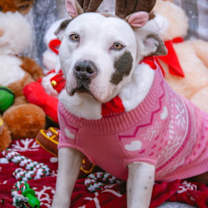 Thumbnail photo of Blanca #4