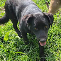 Thumbnail photo of Mack #1