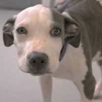 Thumbnail photo of Wesley #2