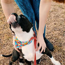 Thumbnail photo of Macy #3