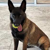 Thumbnail photo of Cora - Located in San Antonio, TX #1