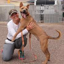 Thumbnail photo of LUIGI #4